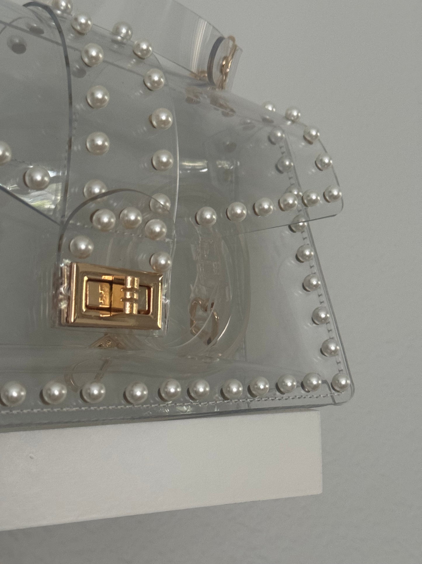 Fashionista Transparent Clear Bag